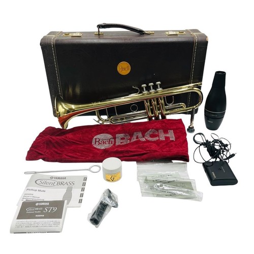 Embouchure laiton - embouchure, en